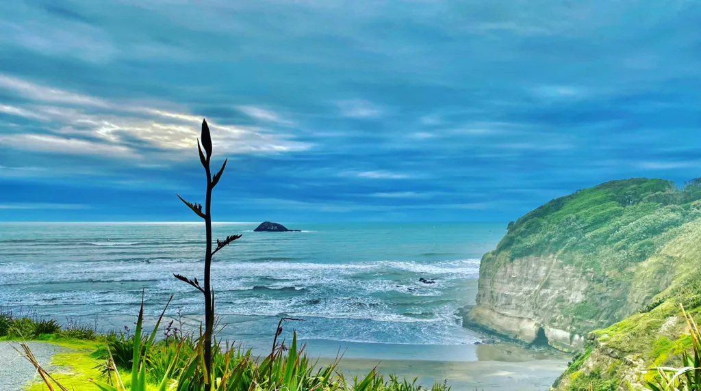 Muriwai beach-The amazing Free Things to do in Auckland