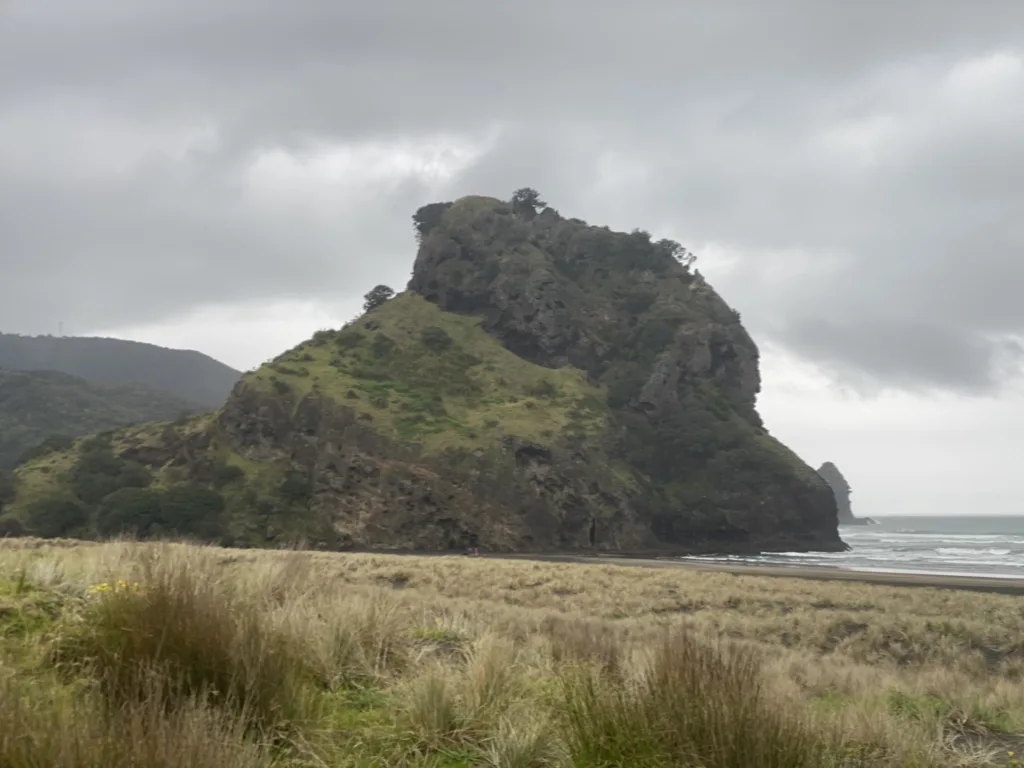 Piha beach-free things to do in auckland