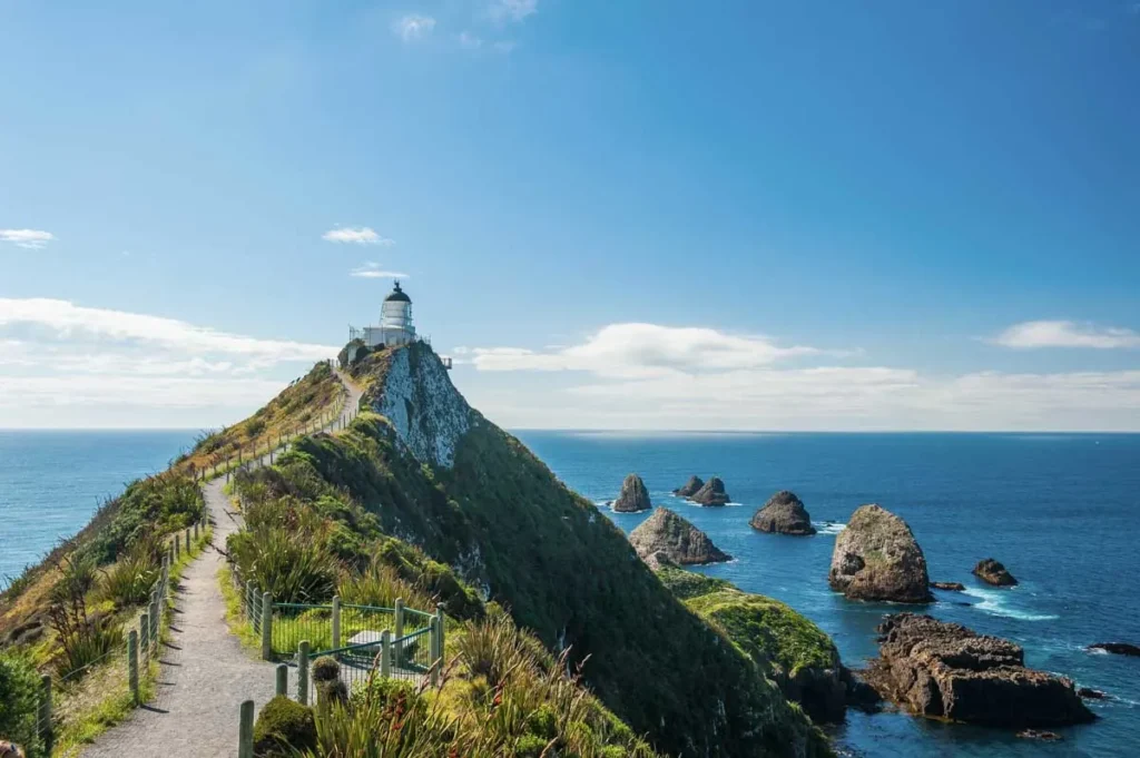 Nugget-Point-Lighthouse-Dunedin – A City Full of Character