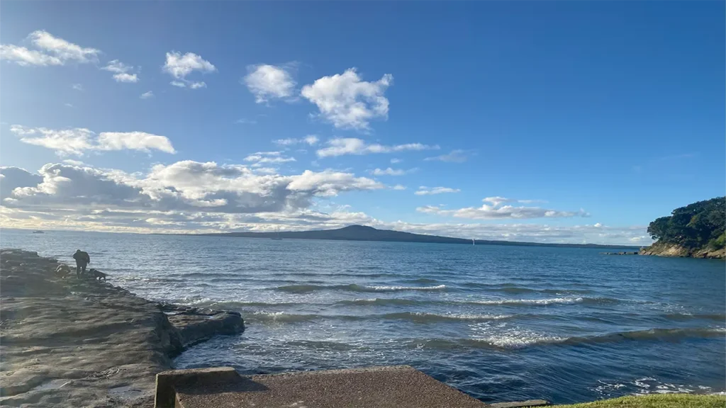 Auckland to Wellington Road Trip - checkphotography