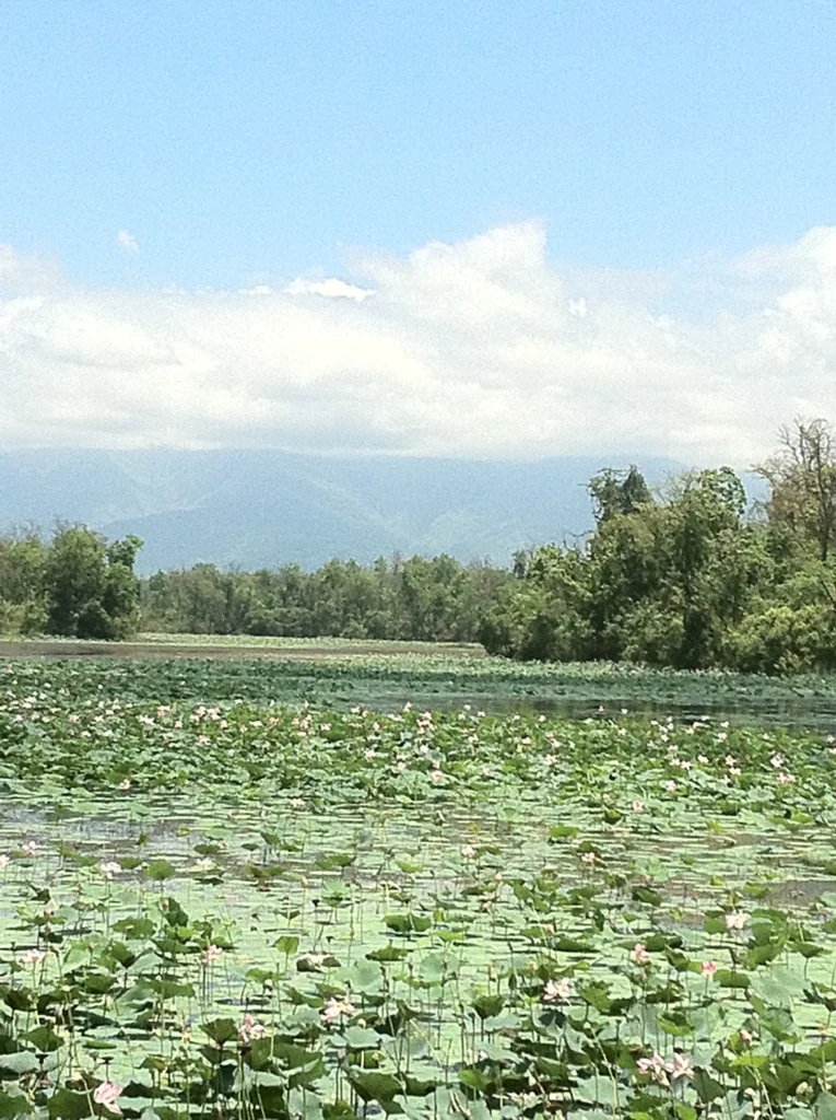 Ghodaghodi_Lake natural beauty of farwest