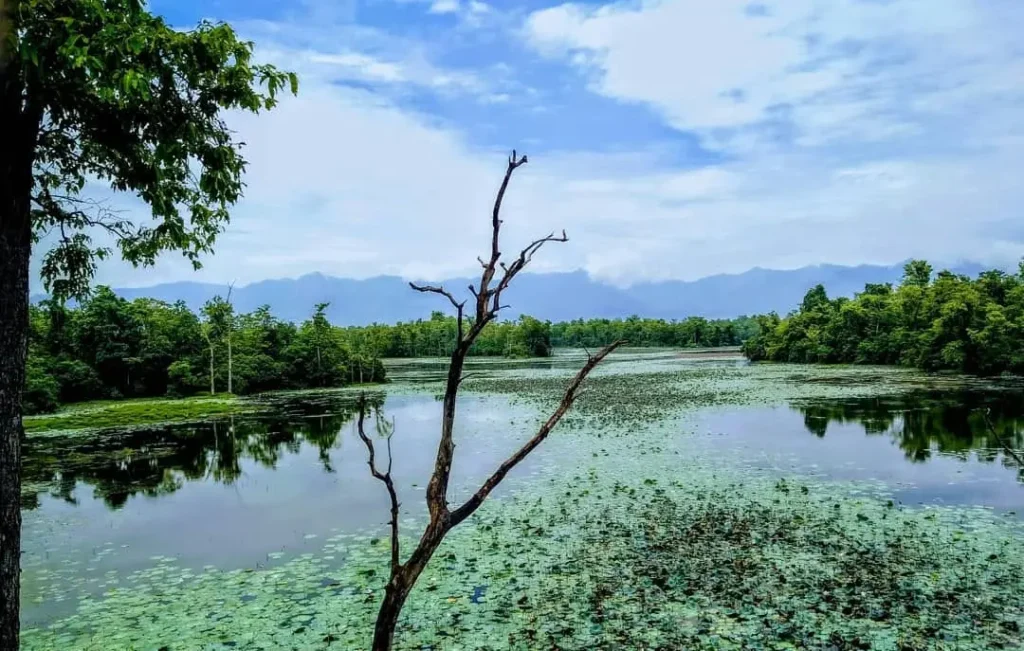 ghodaghodi-lake with ecosystem