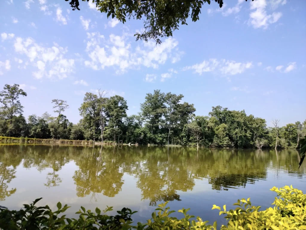 ghodaghodi-lake with ecosystem