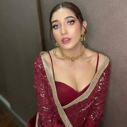 Aanchal Sharma Cleavage
