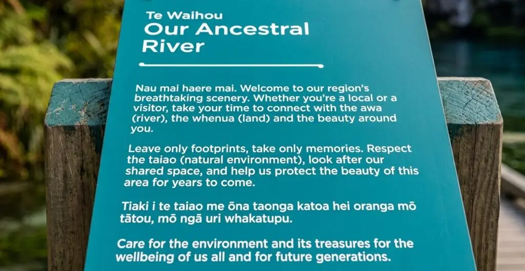 A vibrant view of the river grass flowing underneath the clear surface of Te Waihou River.