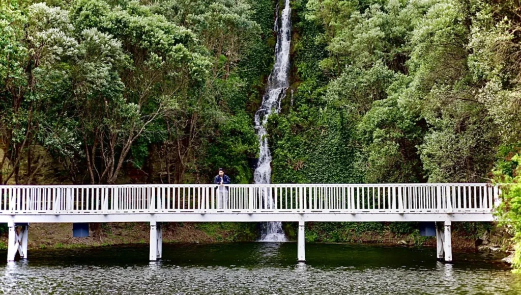 Centennial Garden & Waterfall Napier - romantic places to visit in Napier