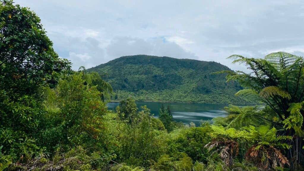 nz vs switzerland-rotorua mountain scenery